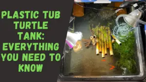 Plastic Tub Turtle Tank